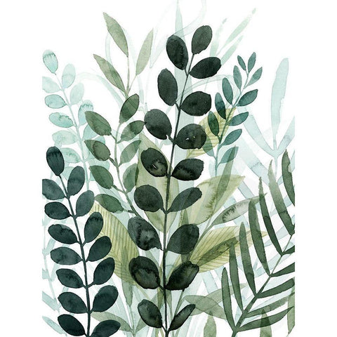 Forest Forage II Black Modern Wood Framed Art Print with Double Matting by Popp, Grace