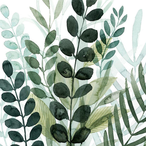 Forest Forage IV Black Modern Wood Framed Art Print by Popp, Grace