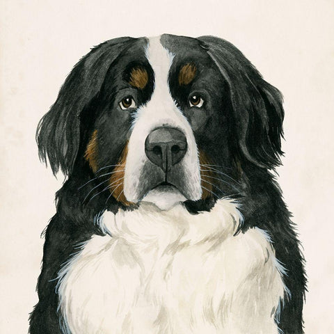 Best Bud I Black Modern Wood Framed Art Print with Double Matting by Popp, Grace