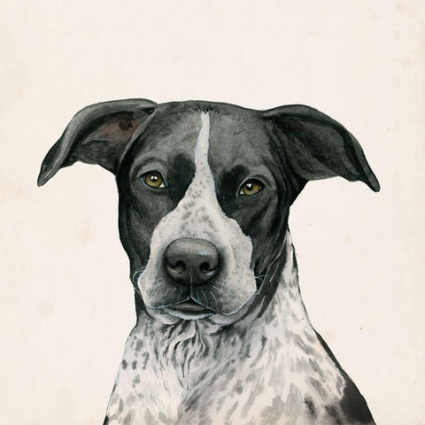 Best Bud IV White Modern Wood Framed Art Print with Double Matting by Popp, Grace