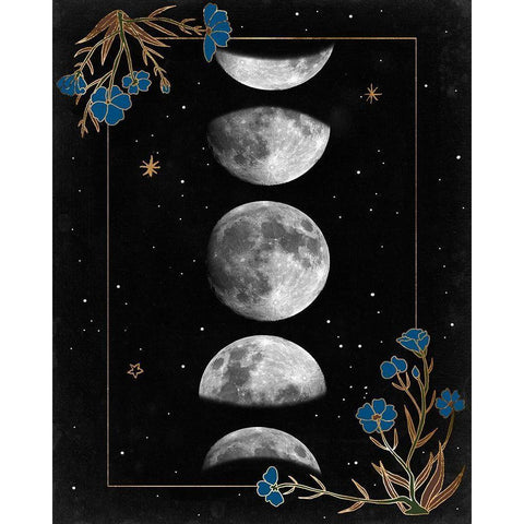 Night Moon I Black Modern Wood Framed Art Print with Double Matting by Wang, Melissa