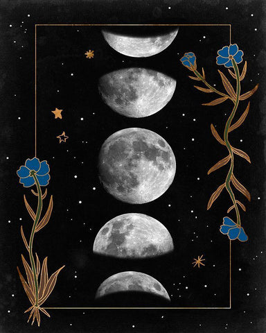 Night Moon II Black Ornate Wood Framed Art Print with Double Matting by Wang, Melissa