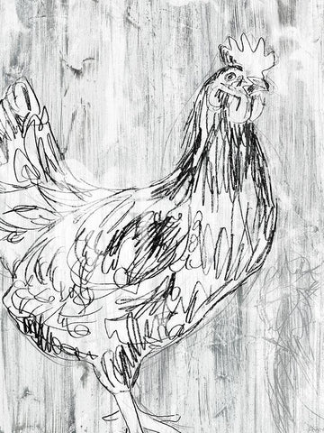 Barnwood Flock I Black Ornate Wood Framed Art Print with Double Matting by Vess, June Erica