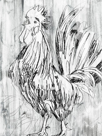 Barnwood Flock II Black Ornate Wood Framed Art Print with Double Matting by Vess, June Erica