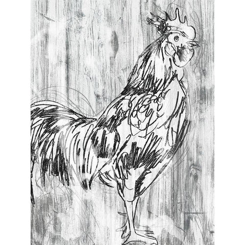 Barnwood Flock III Black Modern Wood Framed Art Print by Vess, June Erica