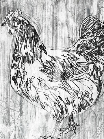 Barnwood Flock IV Black Ornate Wood Framed Art Print with Double Matting by Vess, June Erica