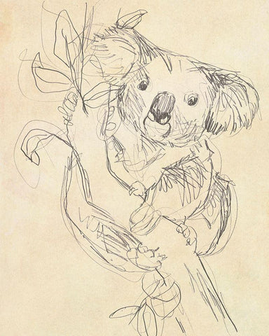 Outback Sketch II White Modern Wood Framed Art Print with Double Matting by Vess, June Erica