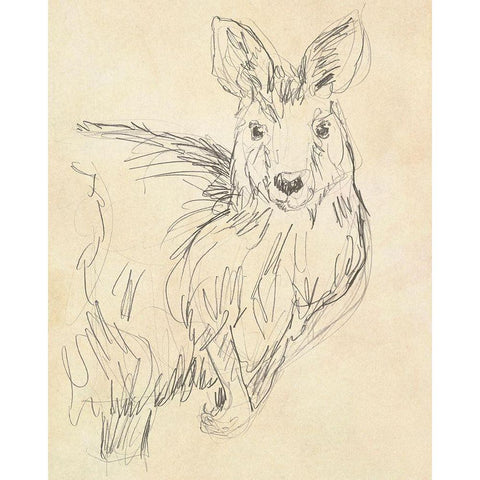 Outback Sketch III White Modern Wood Framed Art Print by Vess, June Erica