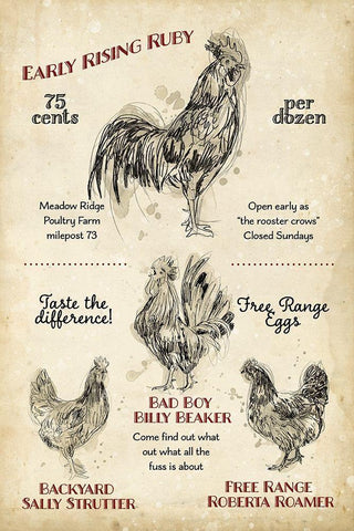 Hen House I Black Ornate Wood Framed Art Print with Double Matting by Studio W