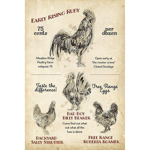 Hen House I Black Modern Wood Framed Art Print with Double Matting by Studio W