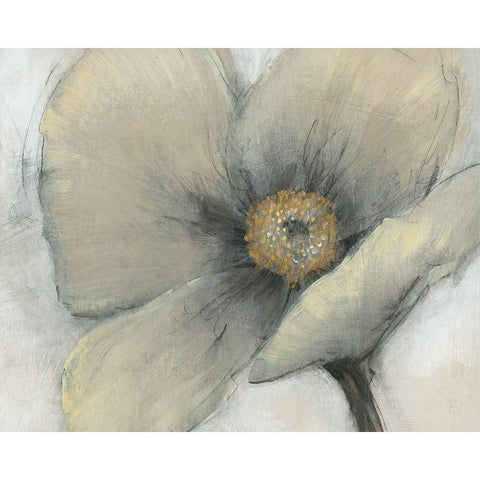 Single Cream Bloom I Gold Ornate Wood Framed Art Print with Double Matting by OToole, Tim