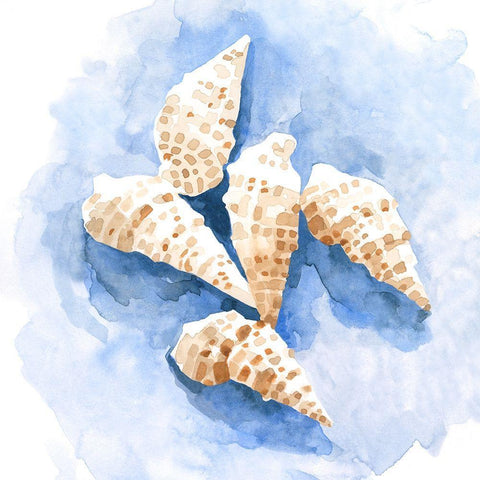 Shell Impressions I Black Ornate Wood Framed Art Print with Double Matting by Caroline, Emma