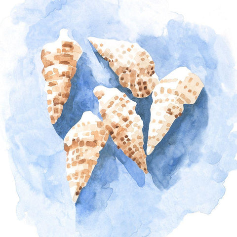 Shell Impressions II Black Modern Wood Framed Art Print by Caroline, Emma