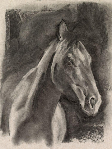 Charcoal Horse Study on Grey I Black Ornate Wood Framed Art Print with Double Matting by Parker, Jennifer Paxton