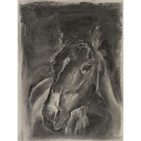 Charcoal Horse Study on Grey II Gold Ornate Wood Framed Art Print with Double Matting by Parker, Jennifer Paxton