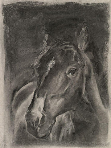 Charcoal Horse Study on Grey II Black Ornate Wood Framed Art Print with Double Matting by Parker, Jennifer Paxton