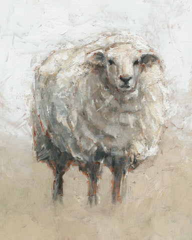 Fluffy Sheep II White Modern Wood Framed Art Print with Double Matting by Harper, Ethan