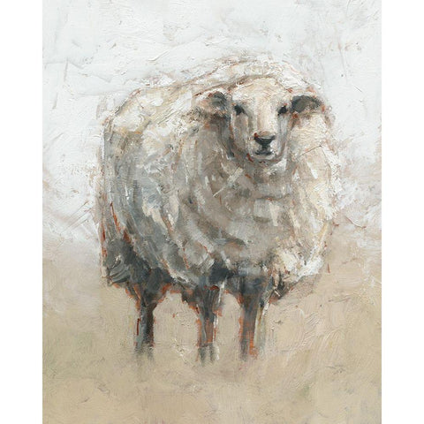 Fluffy Sheep II Black Modern Wood Framed Art Print by Harper, Ethan