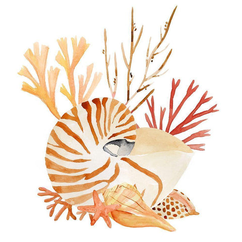 Nautilus Grouping II White Modern Wood Framed Art Print by Warren, Annie