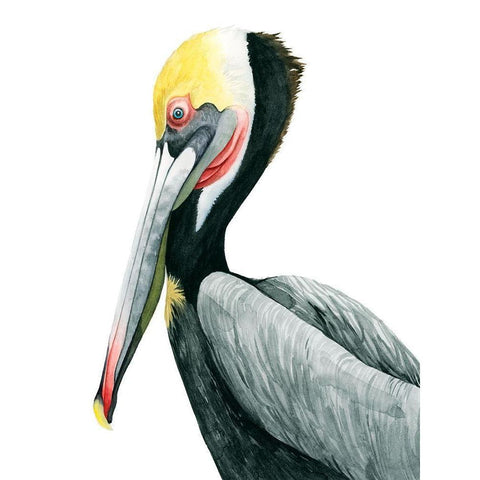 Watercolor Pelican II Black Modern Wood Framed Art Print with Double Matting by Popp, Grace