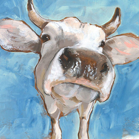 Cattle Close-up I White Modern Wood Framed Art Print with Double Matting by Parker, Jennifer Paxton