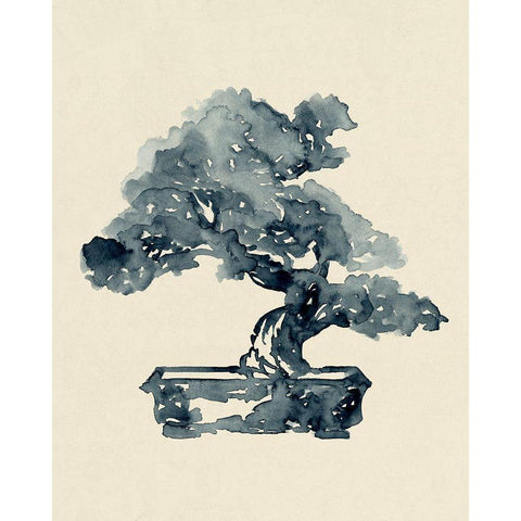 Indigo Bonsai II Black Modern Wood Framed Art Print with Double Matting by Green, Jacob