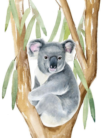 Woodland Koala I White Modern Wood Framed Art Print with Double Matting by Warren, Annie