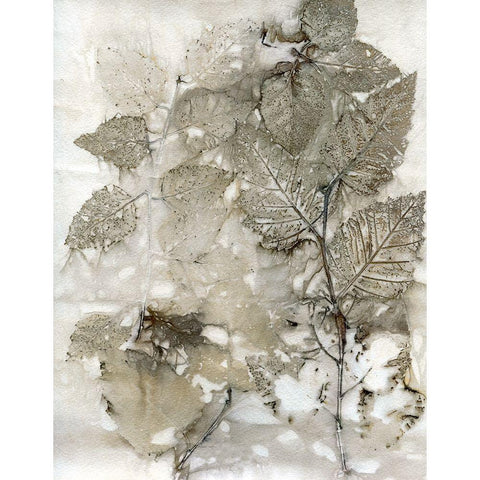 Birch Leaves I Black Modern Wood Framed Art Print by Phillips, Kathryn