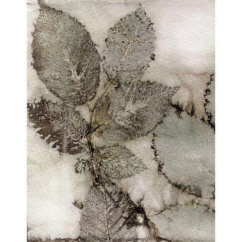 Birch Leaves II White Modern Wood Framed Art Print by Phillips, Kathryn
