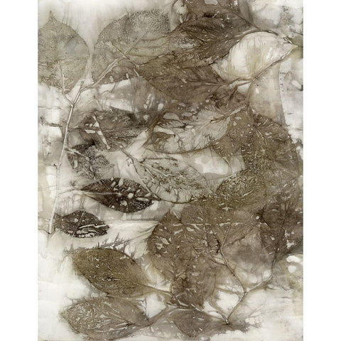 Dogwood Leaves I Black Modern Wood Framed Art Print with Double Matting by Phillips, Kathryn