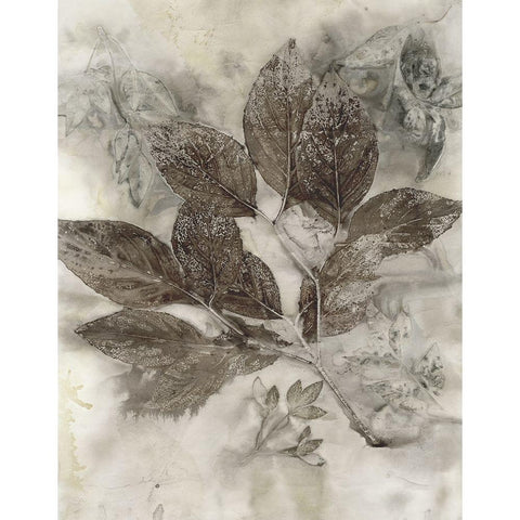 Dogwood Leaves II Black Modern Wood Framed Art Print by Phillips, Kathryn