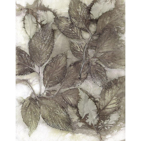 Dogwood Leaves III Black Modern Wood Framed Art Print with Double Matting by Phillips, Kathryn