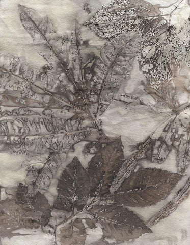 Multi Leaves I White Modern Wood Framed Art Print with Double Matting by Phillips, Kathryn