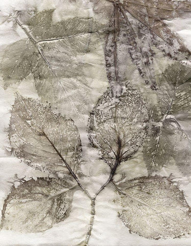 Multi Leaves II White Modern Wood Framed Art Print with Double Matting by Phillips, Kathryn