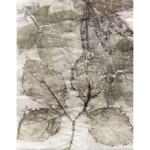 Multi Leaves II Black Modern Wood Framed Art Print by Phillips, Kathryn