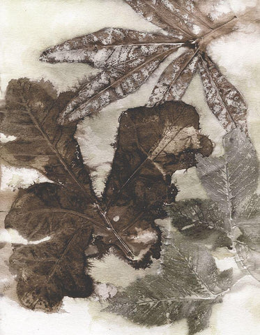 Oak Leaves White Modern Wood Framed Art Print with Double Matting by Phillips, Kathryn