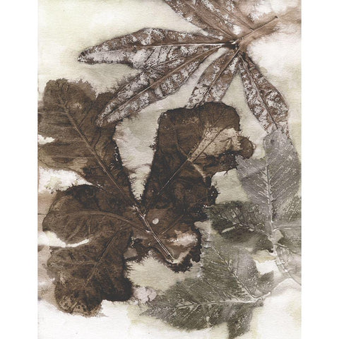 Oak Leaves Black Modern Wood Framed Art Print with Double Matting by Phillips, Kathryn