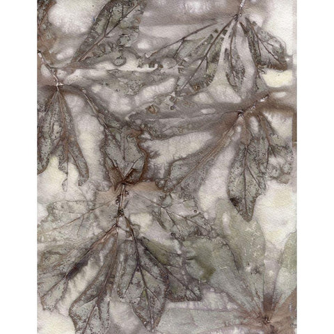 Water Oak Leaves Black Modern Wood Framed Art Print by Phillips, Kathryn