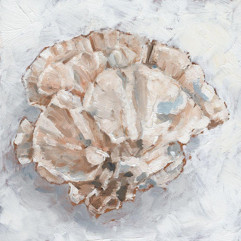 Coral Display III White Modern Wood Framed Art Print with Double Matting by Harper, Ethan