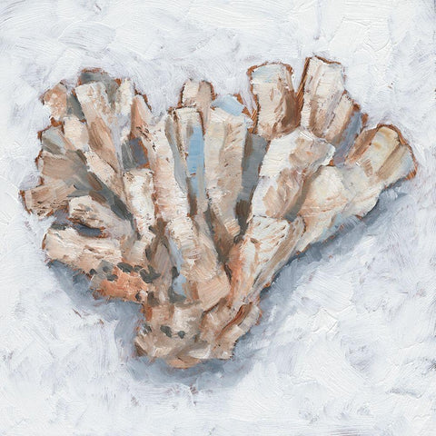 Coral Display IV Black Modern Wood Framed Art Print by Harper, Ethan