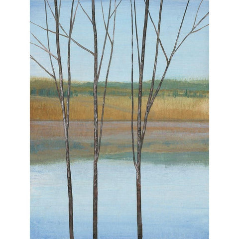 Between Water II White Modern Wood Framed Art Print by OToole, Tim