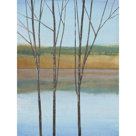 Between Water II Black Modern Wood Framed Art Print by OToole, Tim