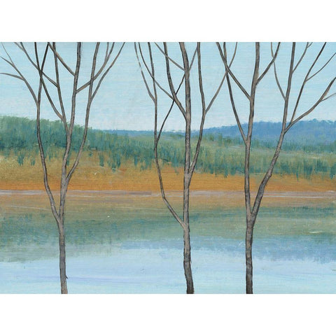 Between Water III White Modern Wood Framed Art Print by OToole, Tim