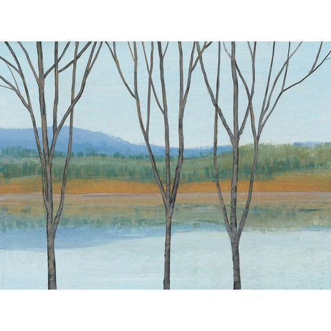 Between Water IV White Modern Wood Framed Art Print by OToole, Tim