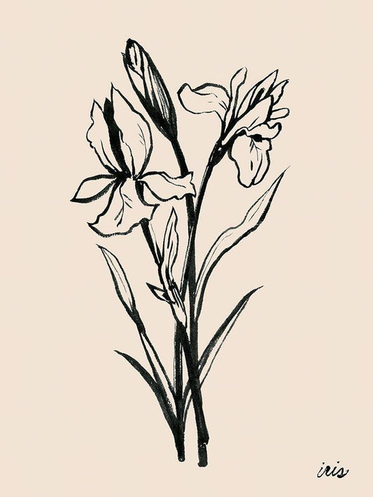 Image Only