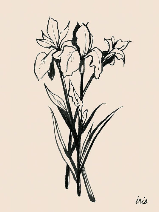 Image Only