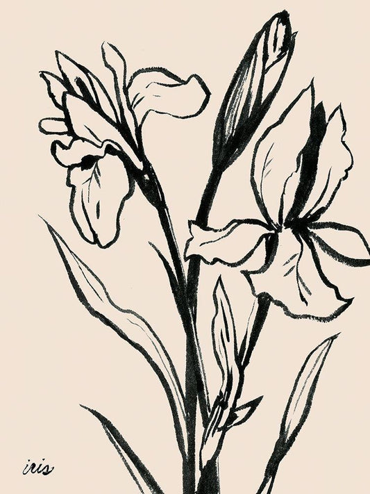 Image Only