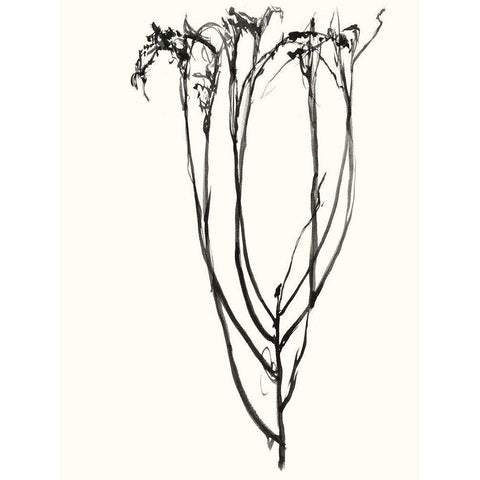 Naive Flower Sketch II Black Modern Wood Framed Art Print with Double Matting by Goldberger, Jennifer