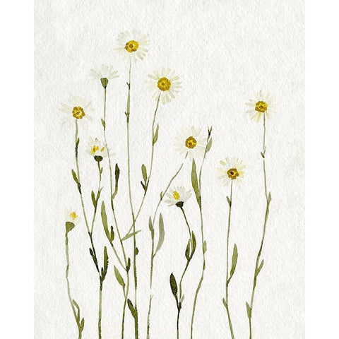 White Antique Daisies I Gold Ornate Wood Framed Art Print with Double Matting by Caroline, Emma