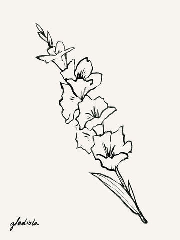 Gladiola Sketch I White Modern Wood Framed Art Print with Double Matting by Popp, Grace